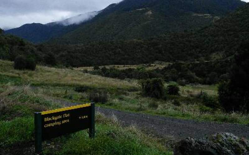 Otaki Forks Campsite Freedom/Basic Camp New Zealand